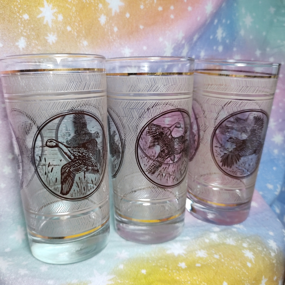 Set of 8 Libbey Bird Glasses